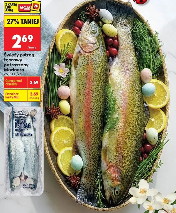 Świeży pstrąg tęczowy patroszony Marinero