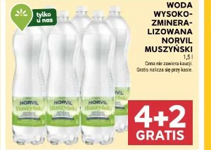 Woda wysokozmineralizowana Norvil Muszyński