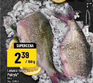 Leszcz tusza Polryb