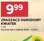 Zraszacz ogrodowy kwiatek