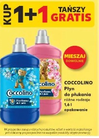 Coccolino Płyn do płukania różne rodzaje