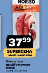 Ośmiornica macki gotowane Norso