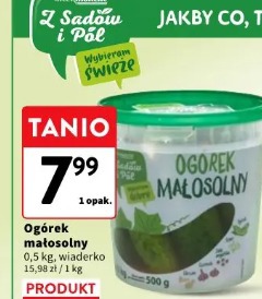 Ogórek małosolny