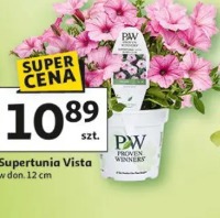 Supertunia Vista