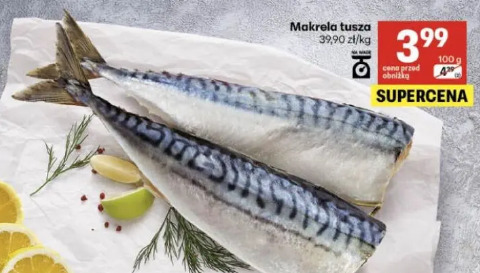 Makrela tusza