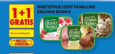 Wszystkie lody familijne Zielona Budka