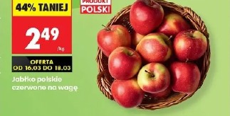 Jabłko polskie czerwone