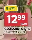 Goździki cięte