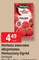 Herbata owocowa ekspresowa Herbaciany Ogród Herbapol