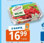 Maliny Hortex Polski Ogród