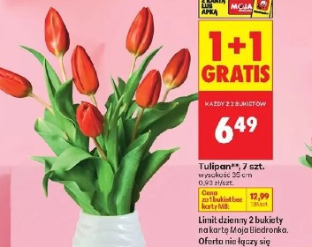 Tulipan 7 szt.