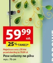 Paw solarny na piku