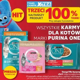 Wszystkie karmy dla kotów marki Purina One