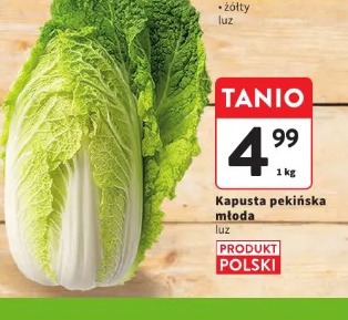 Kapusta pekińska młoda
