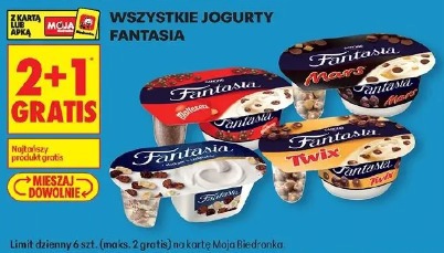 Wszystkie jogurty Fantasia