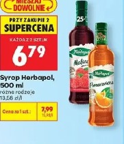 Syrop Herbapol, 500 ml