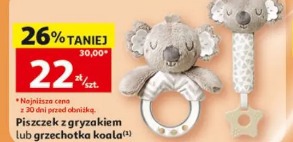 Piszczałek z gryzakiem lub grzechotka koala