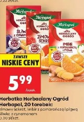 Herbatka Herbaciany Ogród Herbapol