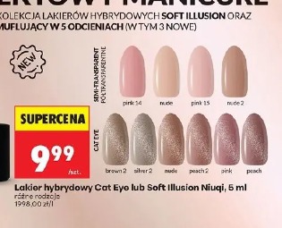 Lakier hybrydowy Cat Eye lub Soft Illusion Niuqi