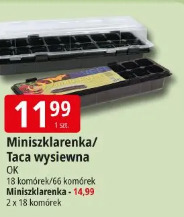 Miniszklarenka/Taca wysiewna OK