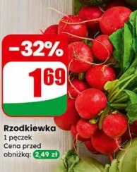 Rzodkiewka