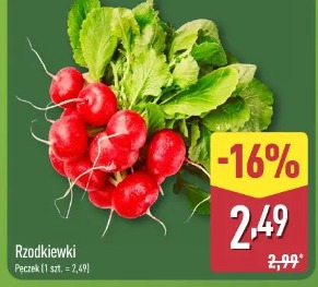 Rzodkiewki