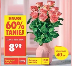 Róża