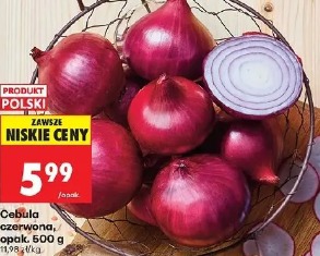 Cebula czerwona