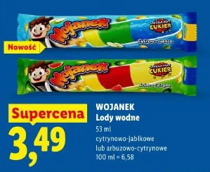 Wojanek Lody wodne