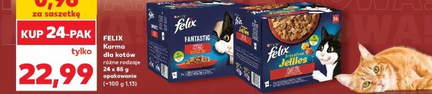 Felix Karma dla kotów różne rodzaje