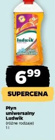 Płyn uniwersalny Ludwik