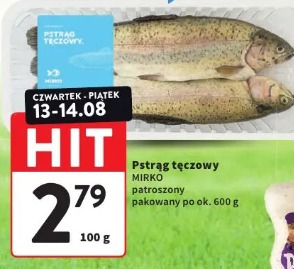 Pstrąg tęczowy Mirko