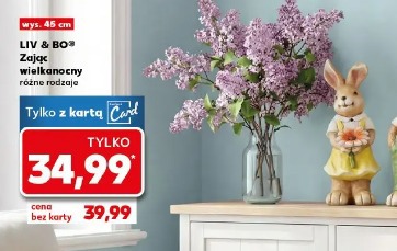 LIV & BO Zając wielkanocny różne rodzaje