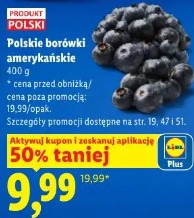 Polskie borówki amerykańskie