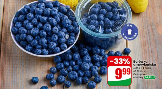 Borówka amerykańska