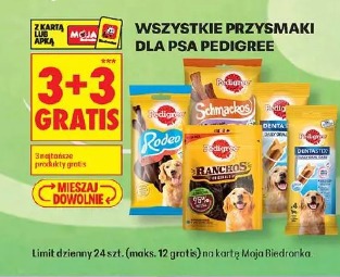Wszystkie przysmaki dla psa Pedigree