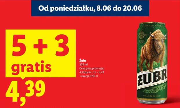 Żubr