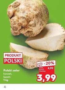 Polski seler korzeń