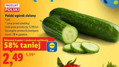 Polski ogórek zielony