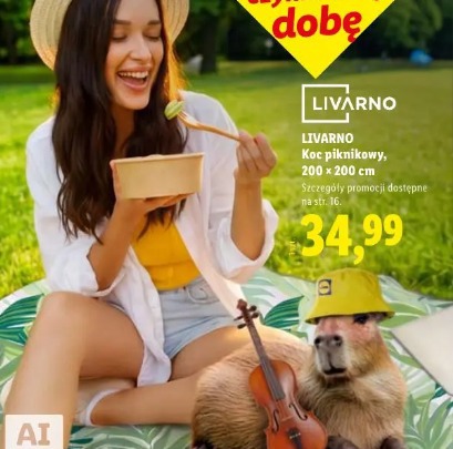 Livarno Koc piknikowy