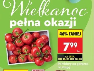 Pomidory na gałązce