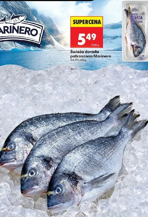 Świeża dorada patroszona Marinero
