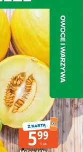 Melon żółty