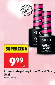 Lakier hybrydowy Love Mood Niuqi
