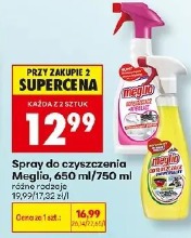 Spray do czyszczenia Meglio