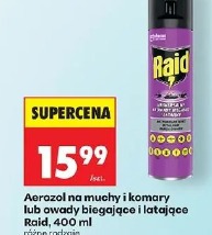 Aerozol na muchy i komary lub owady biegające i latające Raid