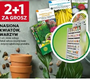 Nasiona kwiatów, warzyw