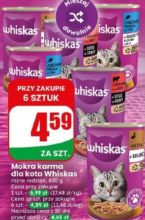 Mokra karma dla kota Whiskas
