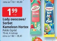 Lody owocowe/Sorbet Kameleon Hortex Polski Ogród