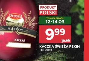 Kaczka świeża Pekin Drosed